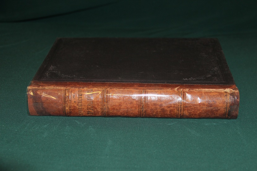 Антикварная книга "Путешествие Норденшельда", 1881 г. (2)