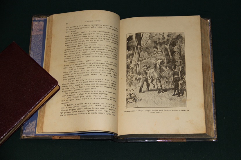 Антикварная книга "Обитатель лесов". 1870 г. (3)