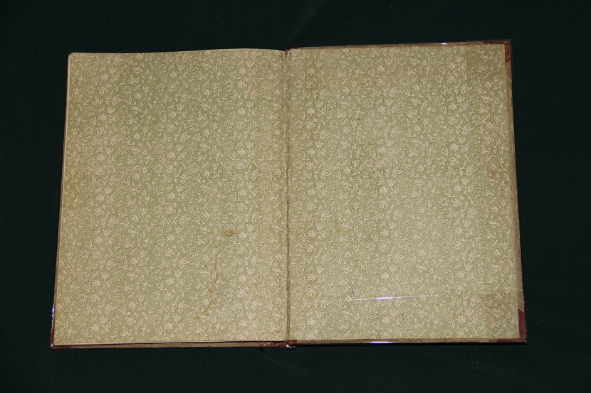 Антикварная книга "Конек-горбунок". 1909 г. (6)