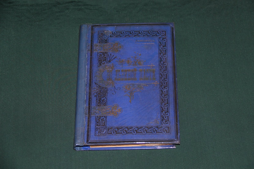 Антикварная книга "В львиной пасти". 1895 г. (1)