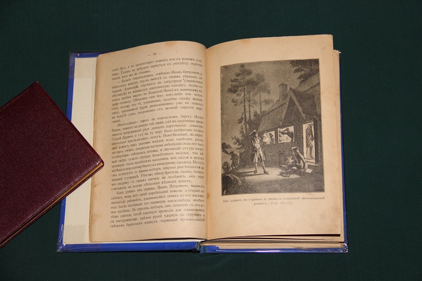 Антикварная книга "В львиной пасти". 1895 г. (3)