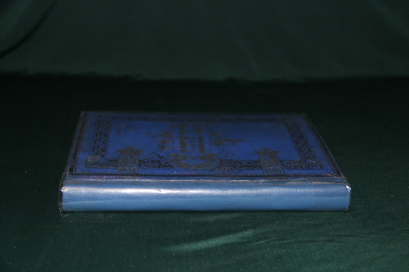 Антикварная книга "В львиной пасти". 1895 г. (4)