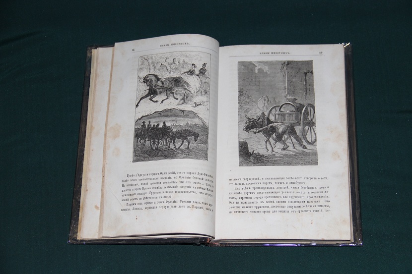 Антикварная книга "Нравы животных". 1873 г. (3)