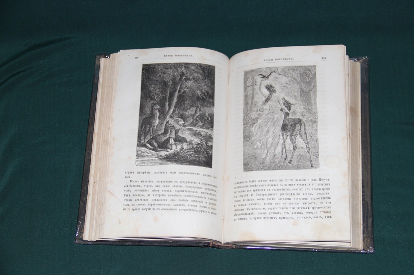 Антикварная книга "Нравы животных". 1873 г. (4)