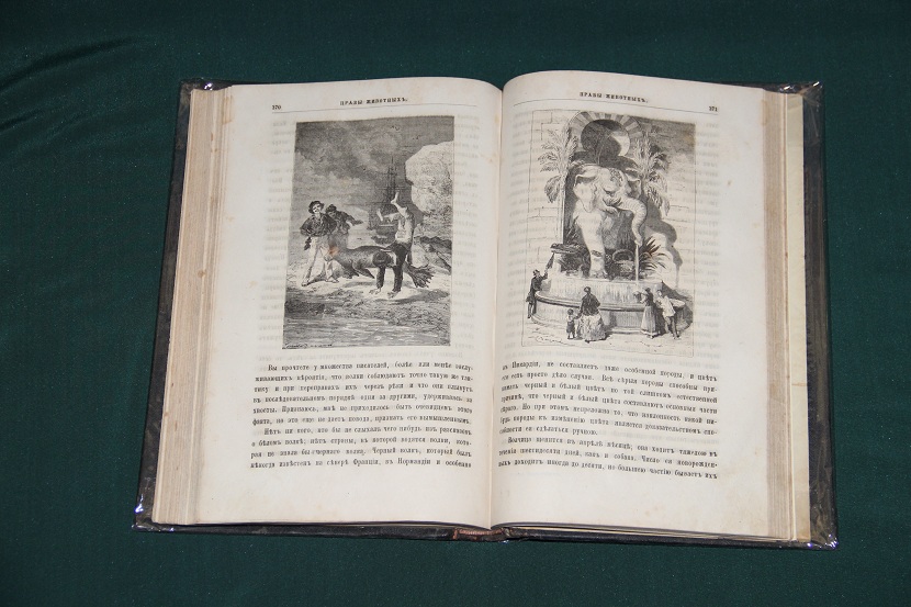 Антикварная книга "Нравы животных". 1873 г. (5)