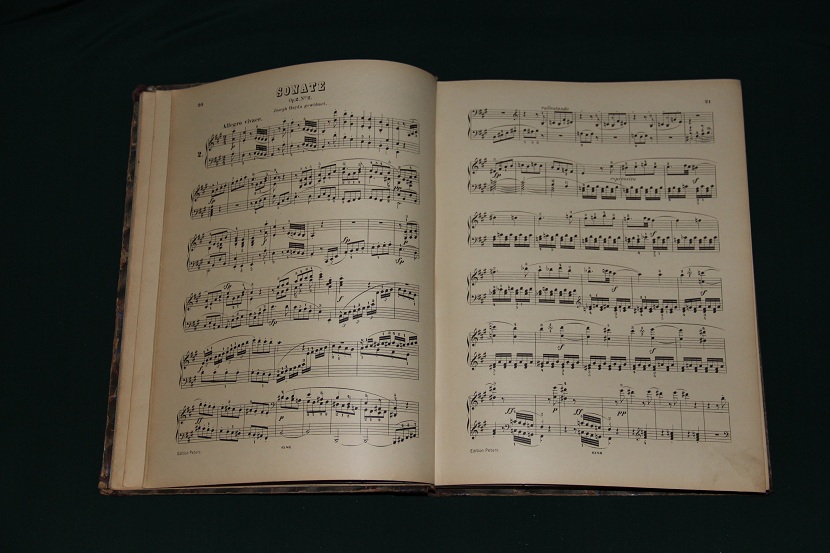 Антикварная книга "Сонеты Бетховена". 1890 г. (3)