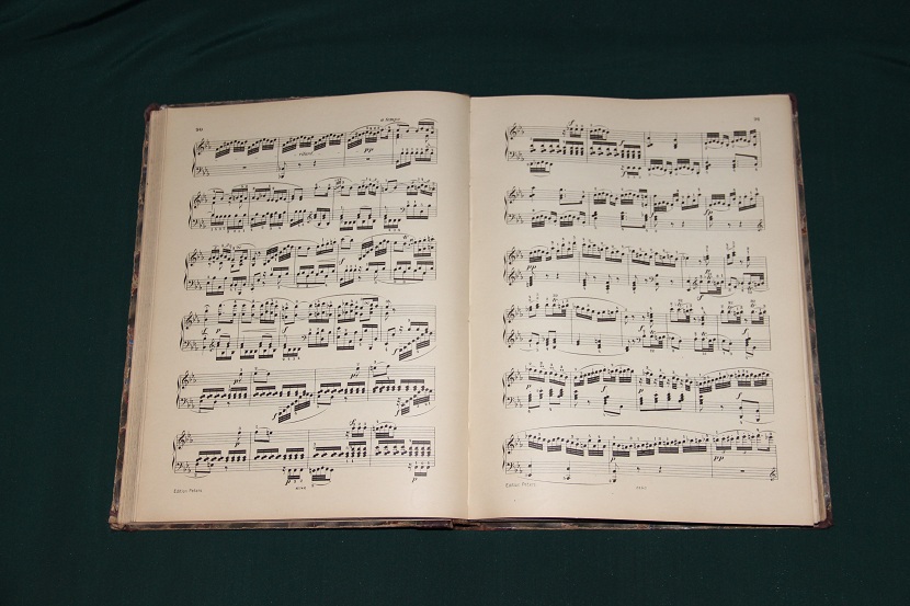 Антикварная книга "Сонеты Бетховена". 1890 г. (4)