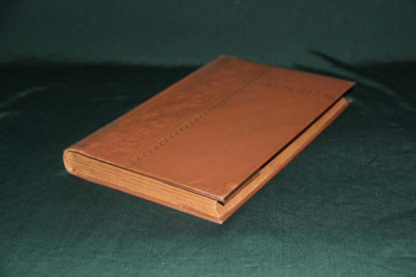 Антикварная книга "Жиль Блаз". 1901 г. (6)