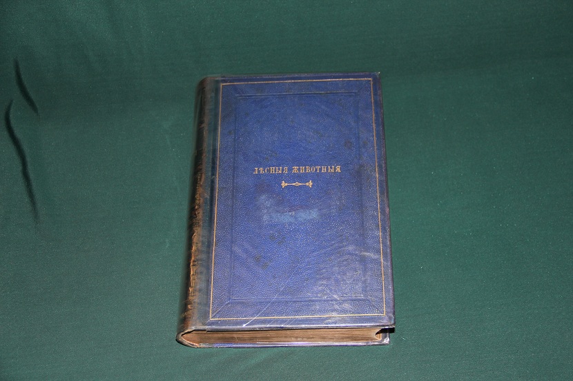 Антикварная книга "Лесные животные". Брем. 1867 г.