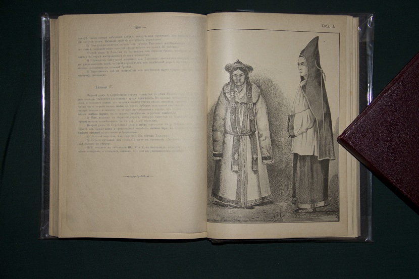 Антикварная книга "Из путешествий". 1895 г. (3)