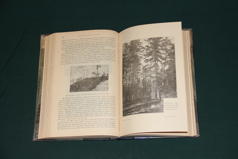Библиотека естествознания, изд. Брокгауз-Ефрон, Е. Варминг, Распределение растений, 1902 г. (4)