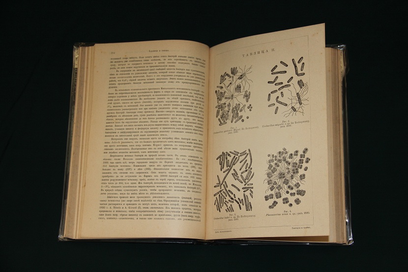 Библиотека естествознания, изд. Брокгауз-Ефрон. Франц Лафар, Бактерии и грибки (14 том) 1907 г. (21)