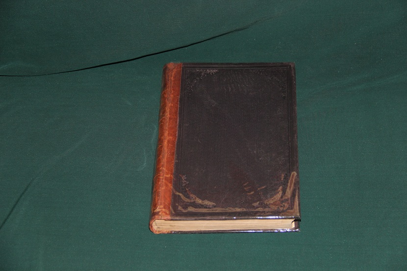 Антикварная книга "Путешествие Норденшельда", 1881 г. (1)
