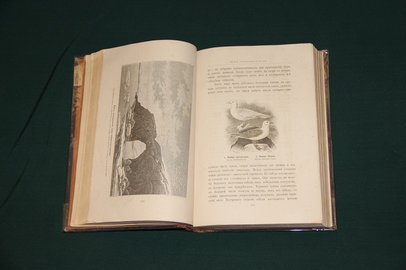 Антикварная книга "Путешествие Норденшельда", 1881 г. (5)