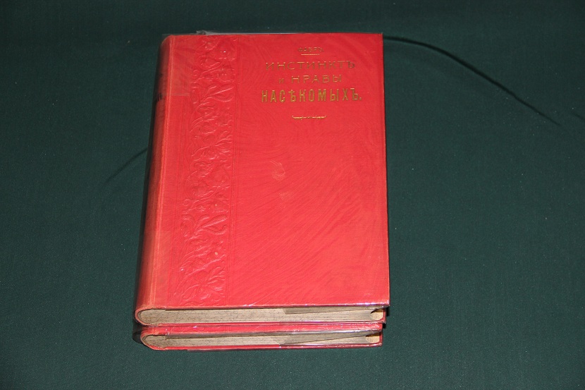 Антикварная книга "Инстинкт и нравы насекомых". 1914 г. (2)