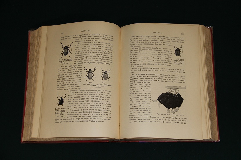 Антикварная книга "Инстинкт и нравы насекомых". 1914 г. (5)