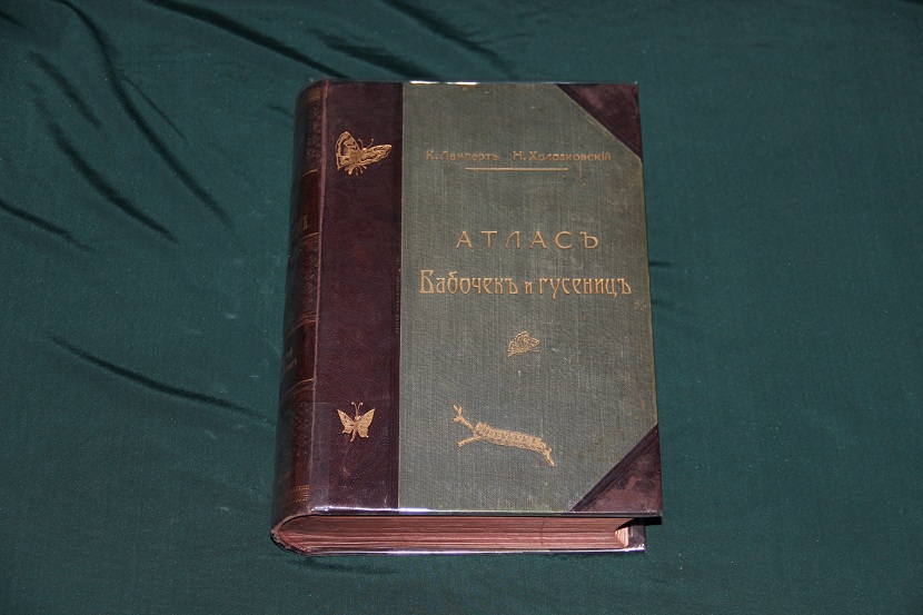 Антикварный атлас бабочек и гусениц. 1913 г. (1)