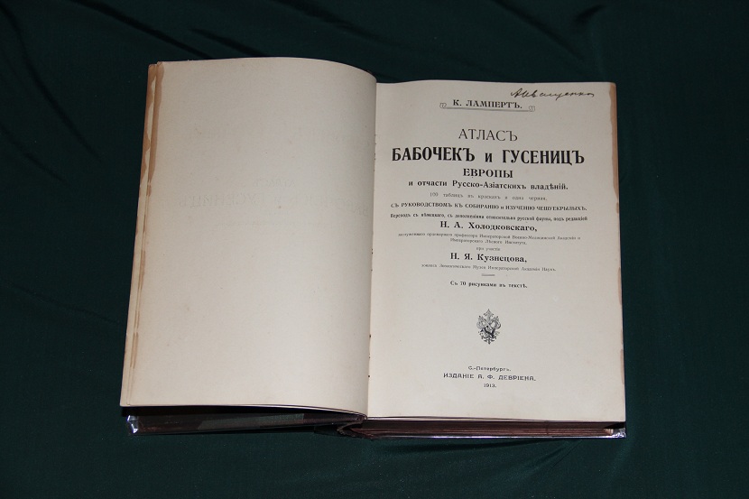 Антикварный атлас бабочек и гусениц. 1913 г. (2)