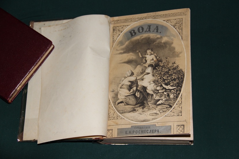 Антикварная книга "Вода". 1862 г. (2)