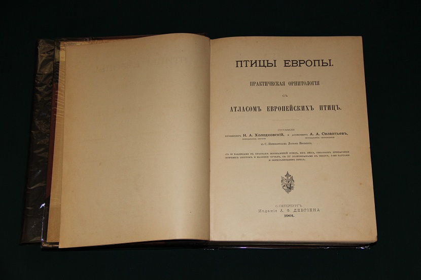 Антикварное издание "Птицы Европы". 1901 г. (3)