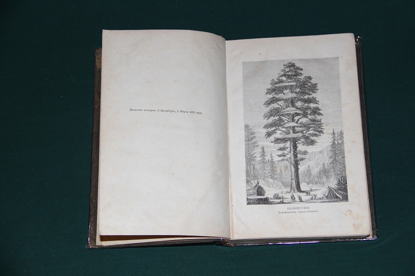 Антикварная книга "Жизнь растений" 1870 г. (3)