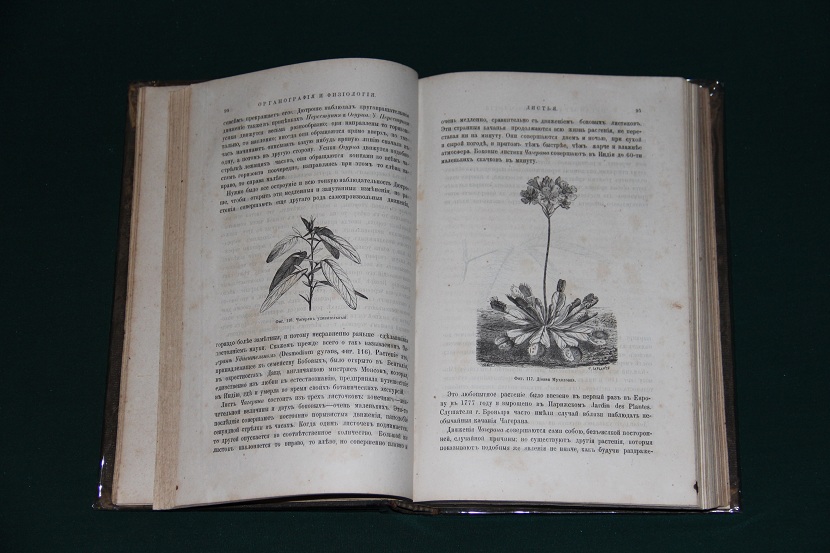 Антикварная книга "Жизнь растений" 1870 г. (4)