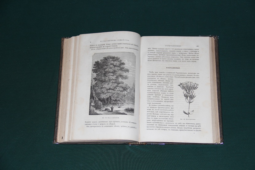 Антикварная книга "Жизнь растений" 1870 г. (5)