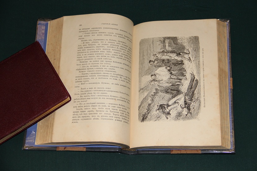 Антикварная книга "Обитатель лесов". 1870 г. (4)