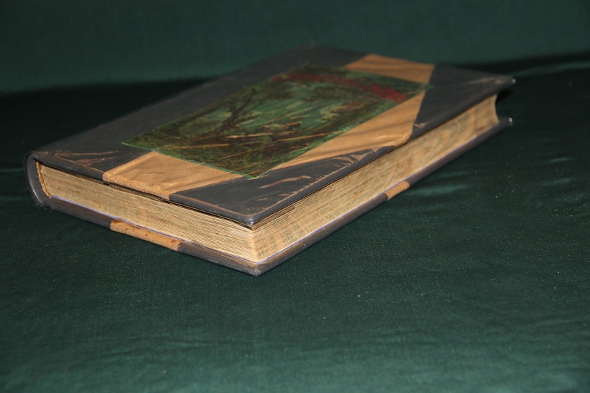 Антикварная книга "Обитатель лесов". 1870 г. (6)