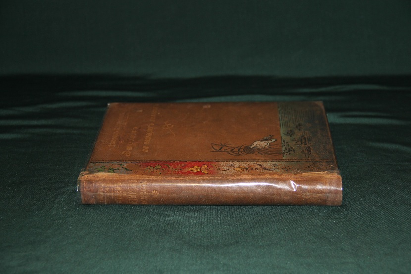 Антикварная книга "Втроем на четырех колесах". 1900 г. (4)