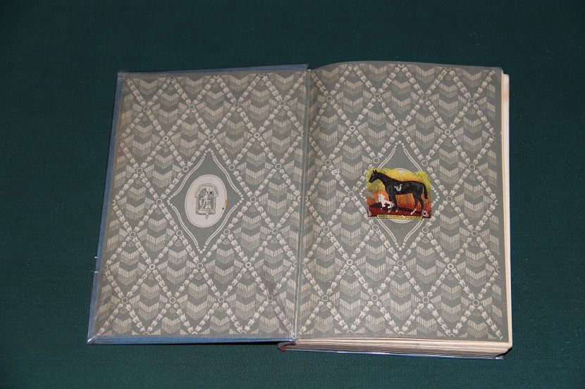 Антикварная книга "Маленький оборвыш". Изд. Одесполиграф 1928 г. (6)
