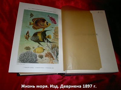 Книга "Жизнь моря". Издательство Девриена 1897 г.