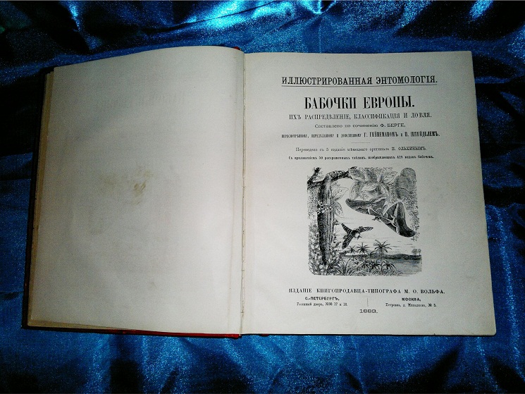 Антикварная книга Бабочки Европы, Ф. Берге. 1883 год.