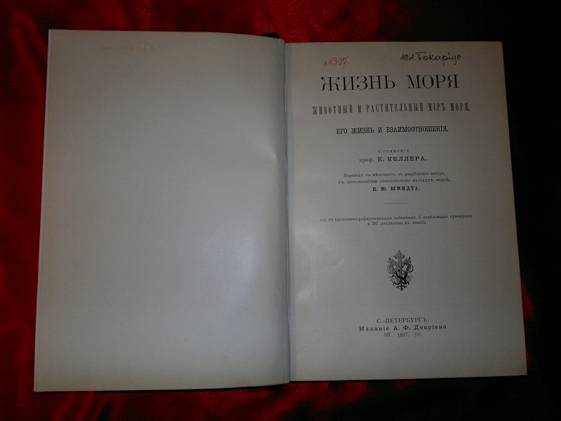 Антикварная книга "Жизнь моря". 1887 г.