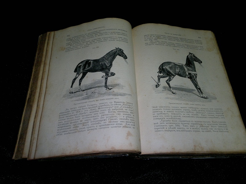Книга о лошади. Князь Урусов, 1902 г.