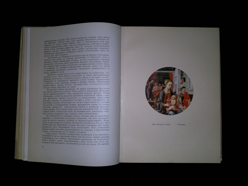 Антикварная книга Рихард Мутер, История живописи. 1903 год