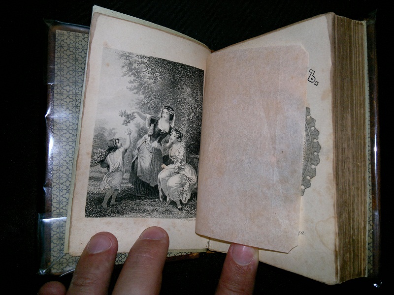Антикварная книга "Дамский альбом", изд. Круга 1854 г.