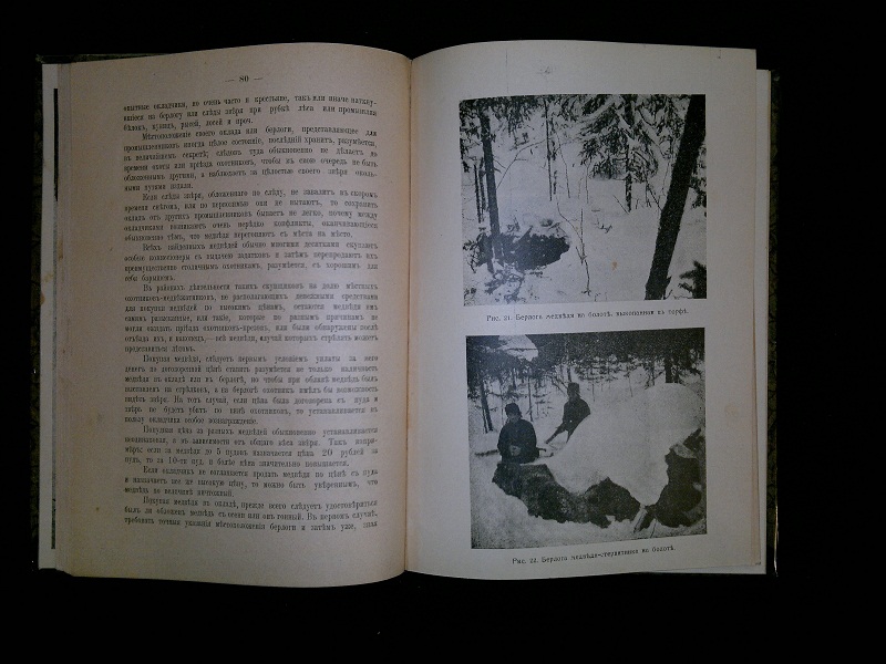 Антикварная книга "Медведь и охота на него"