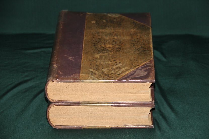 Старинная книга "История живописи в 19 веке", Мутер. 