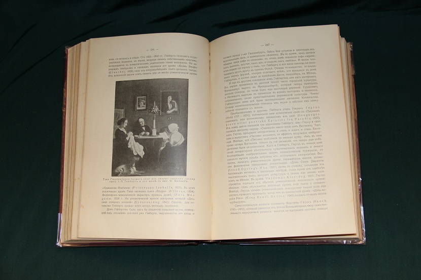 Старинная книга "История западной литературы". 1912 г. 